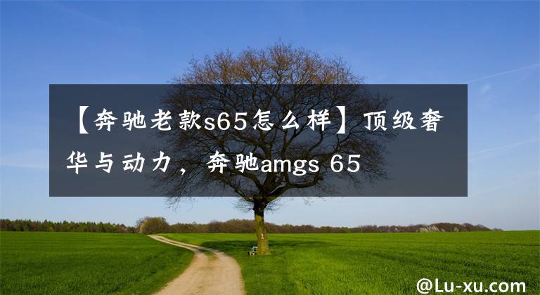 【奔驰老款s65怎么样】顶级奢华与动力,奔驰amgs 65