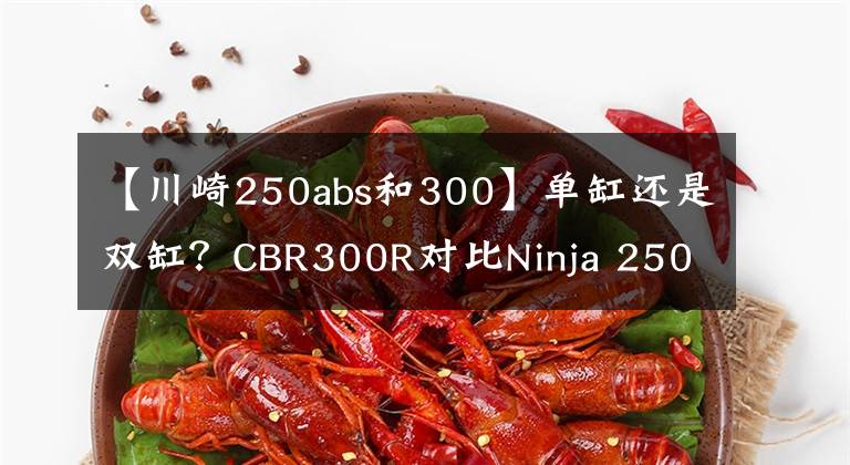 【川崎250abs和300】单缸还是双缸?CBR300R对比Ninja 250试驾