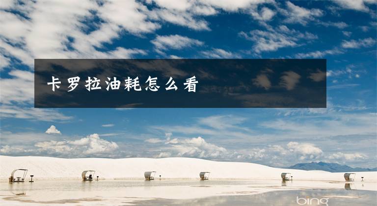 卡罗拉油耗怎么看