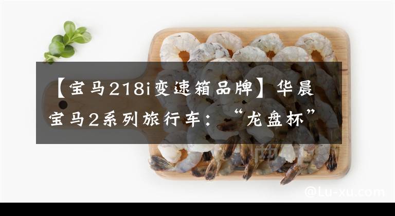 【宝马218i变速箱品牌】华晨宝马2系列旅行车：“龙盘杯”2017中国十大变速器评选优秀模式