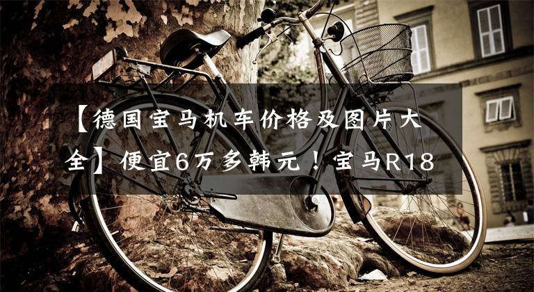 【德国宝马机车价格及图片大全】便宜6万多韩元!宝马R18推出新版本“梦想家”,售价18.89万韩元。