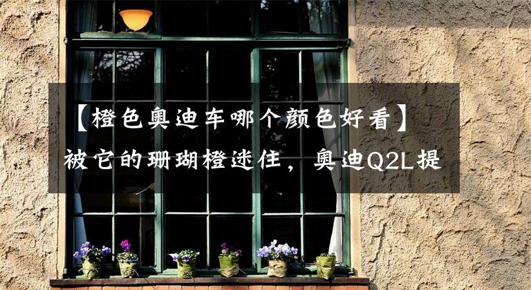【橙色奥迪车哪个颜色好看】被它的珊瑚橙迷住，奥迪Q2L提车作业