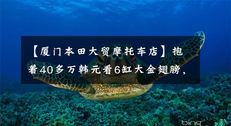 【厦门本田大贸摩托车店】抱着40多万韩元看6缸大金翅膀,逛新店又有了新的收获