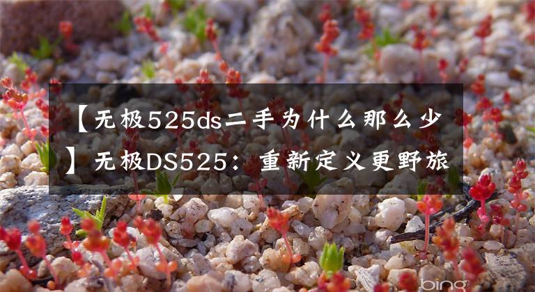 【无极525ds二手为什么那么少】无极DS525:重新定义更野旅行
