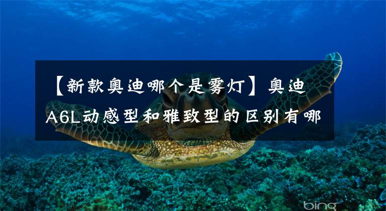 【新款奥迪哪个是雾灯】奥迪A6L动感型和雅致型的区别有哪些？