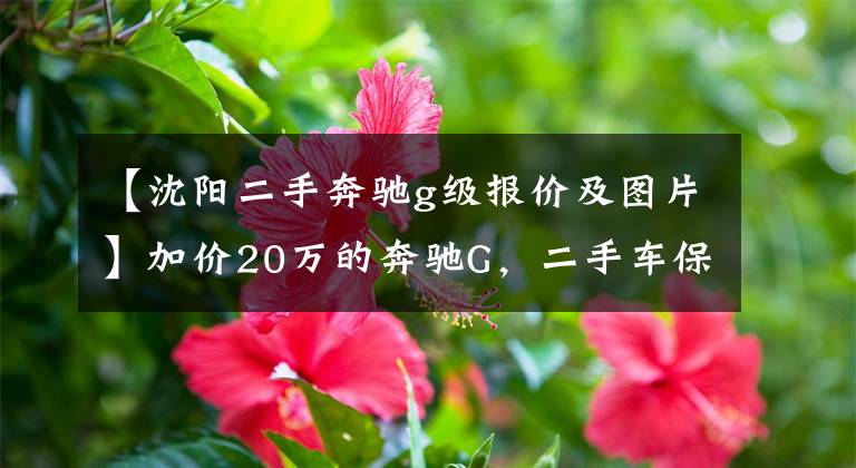 【沈阳二手奔驰g级报价及图片】加价20万的奔驰G，二手车保值率比飞度还高