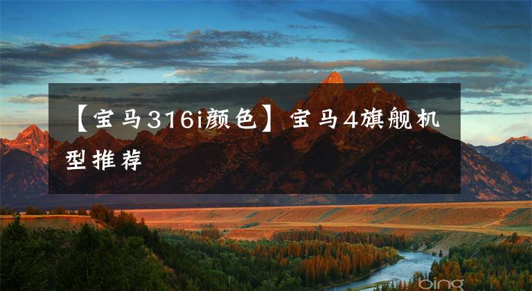 【宝马316i颜色】宝马4旗舰机型推荐