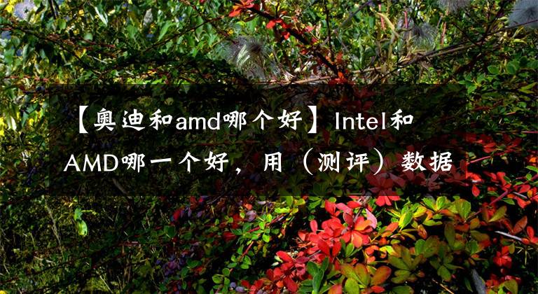【奥迪和amd哪个好】Intel和AMD哪一个好,用(测评)数据来说话