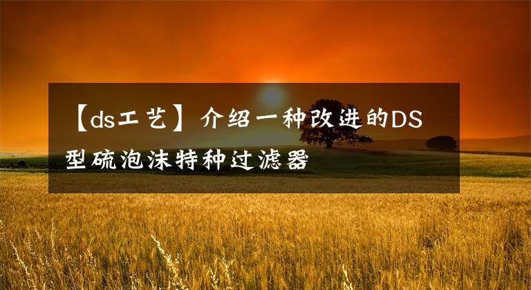 【ds工艺】介绍一种改进的DS型硫泡沫特种过滤器