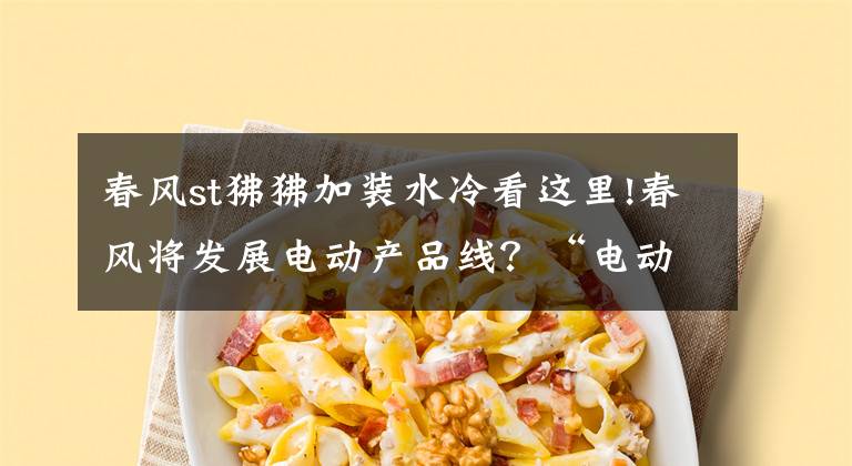 春风st狒狒加装水冷看这里!春风将发展电动产品线?“电动狒狒”和简化版AE8现身工信部