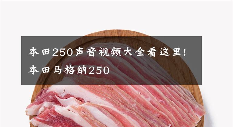 本田250声音视频大全看这里!本田马格纳250