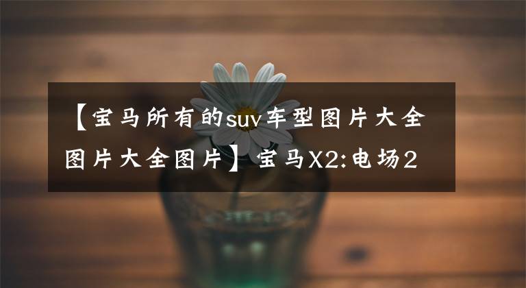 【宝马所有的suv车型图片大全图片大全图片】宝马X2:电场2.0T！颜值够高的！这台德系SUV使你赚到足够的回收率。