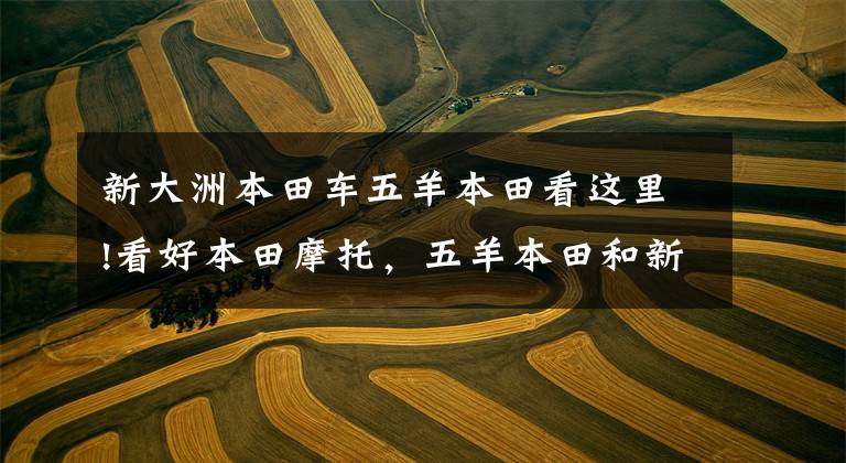 新大洲本田车五羊本田看这里!看好本田摩托,五羊本田和新大洲本田,有什么区别呢?
