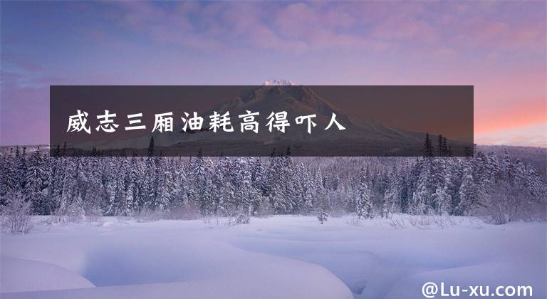 威志三厢油耗高得吓人