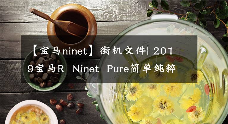 【宝马ninet】街机文件| 2019宝马R Ninet Pure简单纯粹