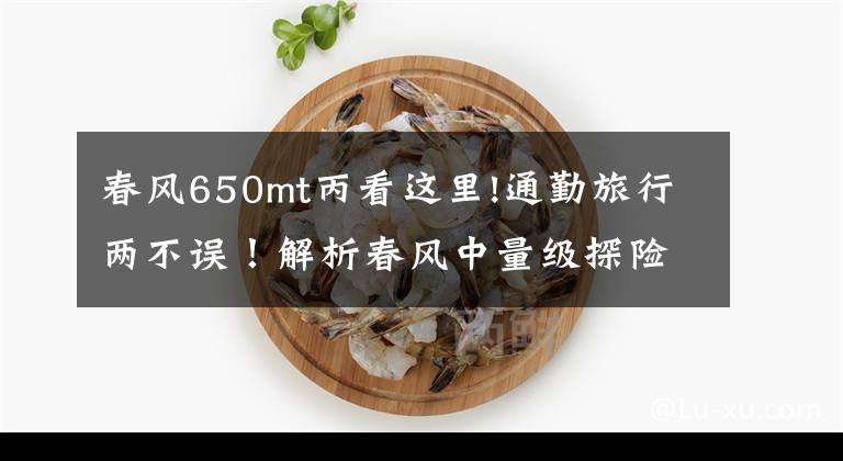 春风650mt丙看这里!通勤旅行两不误！解析春风中量级探险车650MT，18L油箱，70匹马力