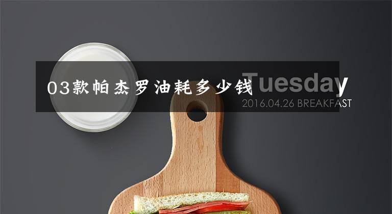 03款帕杰罗油耗多少钱