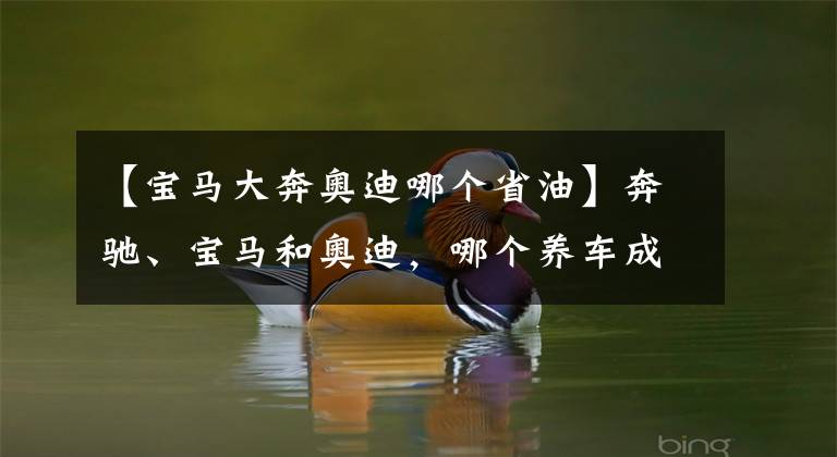 【宝马大奔奥迪哪个省油】奔驰、宝马和奥迪,哪个养车成本最低?质量是否都一样?
