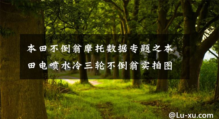 本田不倒翁摩托数据专题之本田电喷水冷三轮不倒翁实拍图片