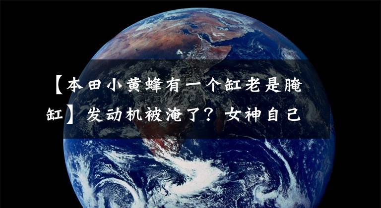 【本田小黄蜂有一个缸老是腌缸】发动机被淹了?女神自己也能修好!