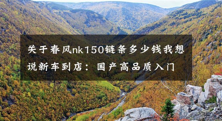 关于春风nk150链条多少钱我想说新车到店:国产高品质入门级街车——2016款春风150 NK