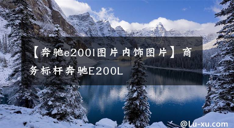 【奔驰e200l图片内饰图片】商务标杆奔驰E200L
