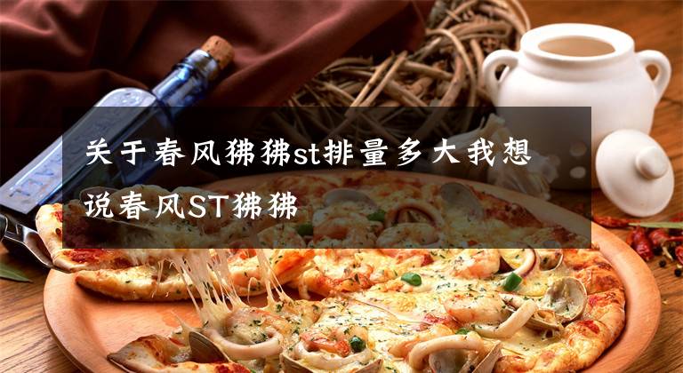 关于春风狒狒st排量多大我想说春风ST狒狒