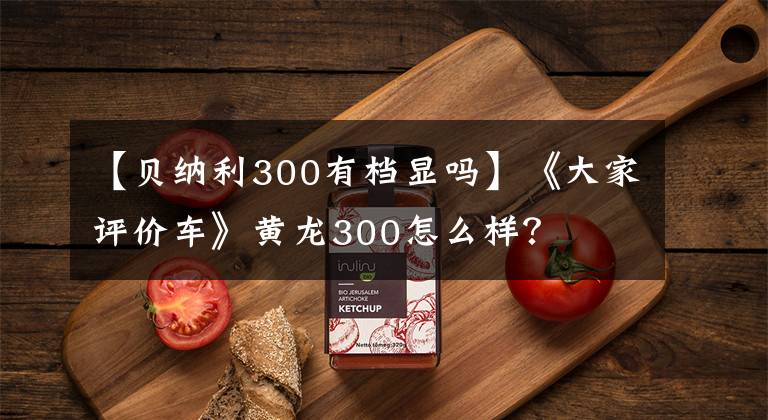 【贝纳利300有档显吗】《大家评价车》黄龙300怎么样?