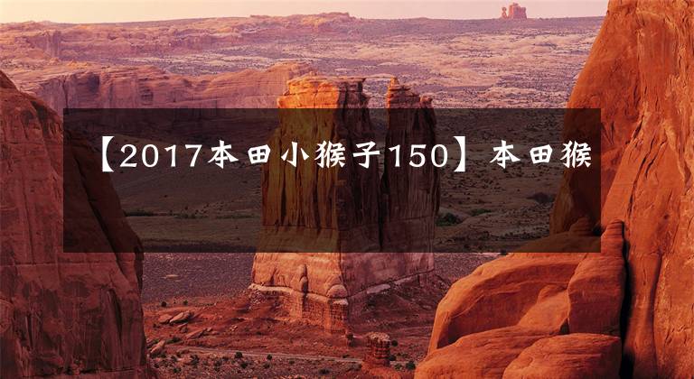 【2017本田小猴子150】本田猴