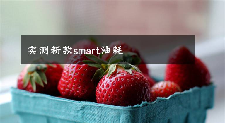 实测新款smart油耗