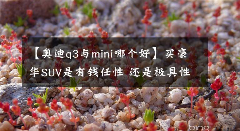 【奥迪q3与mini哪个好】买豪华SUV是有钱任性 还是极具性价比?