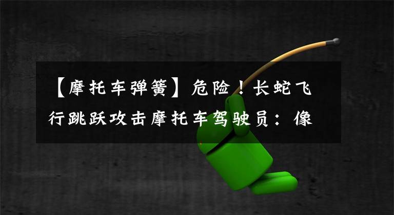 【摩托车弹簧】危险!长蛇飞行跳跃攻击摩托车驾驶员:像弹簧一样