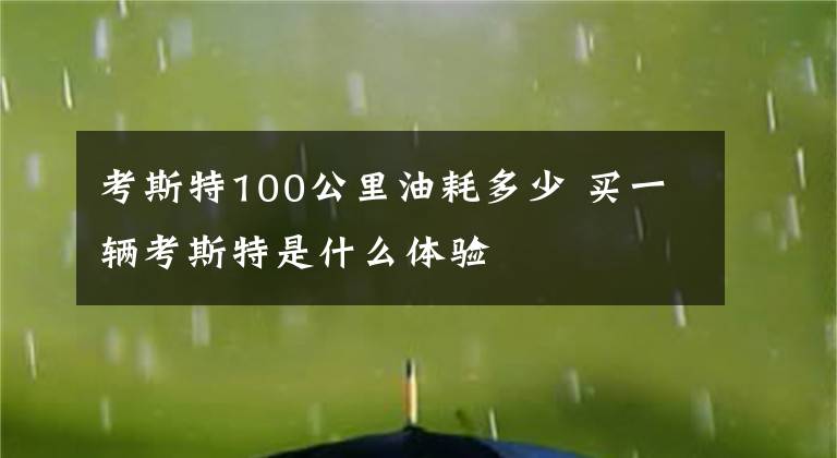 考斯特100公里油耗多少 买一辆考斯特是什么体验