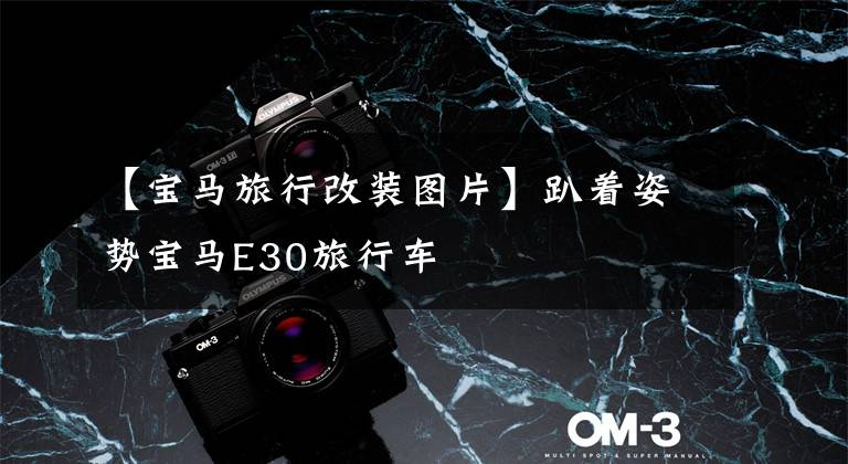 【宝马旅行改装图片】趴着姿势宝马E30旅行车