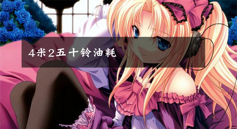 4米2五十铃油耗