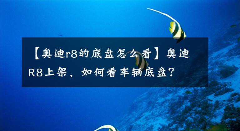 【奥迪r8的底盘怎么看】奥迪R8上架,如何看车辆底盘?