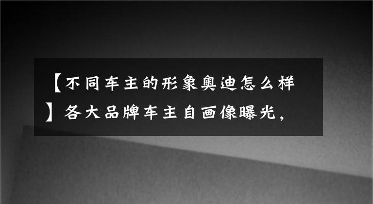 【不同车主的形象奥迪怎么样】各大品牌车主自画像曝光，宝马车主最传神，“和我本人一样”