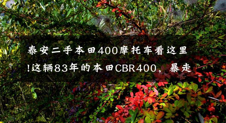 泰安二手本田400摩托车看这里!这辆83年的本田CBR400,暴走族最爱机车,转速红线1万3,太躁了