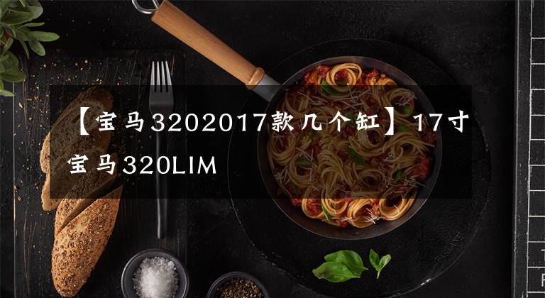 【宝马3202017款几个缸】17寸宝马320LIM