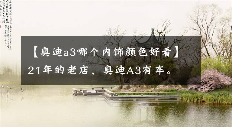【奥迪a3哪个内饰颜色好看】21年的老店,奥迪A3有车。