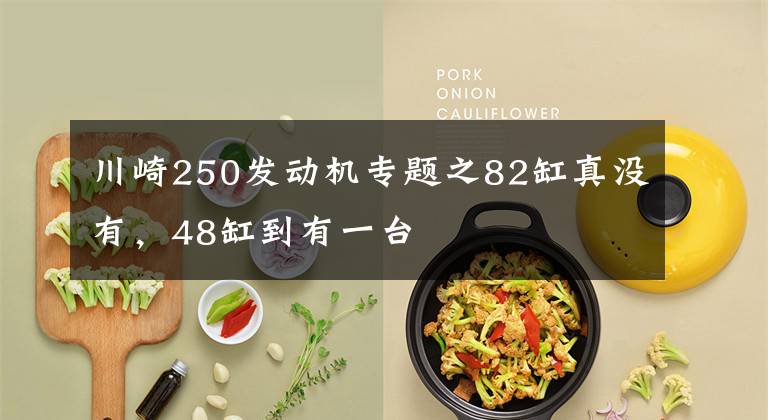 川崎250发动机专题之82缸真没有,48缸到有一台