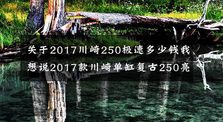 关于2017川崎250极速多少钱我想说2017款川崎单缸复古250亮相,售价公布