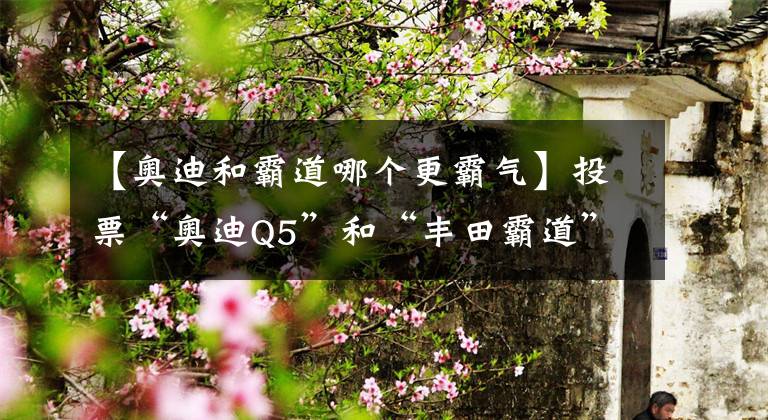 【奥迪和霸道哪个更霸气】投票“奥迪Q5”和“丰田霸道”你选谁？