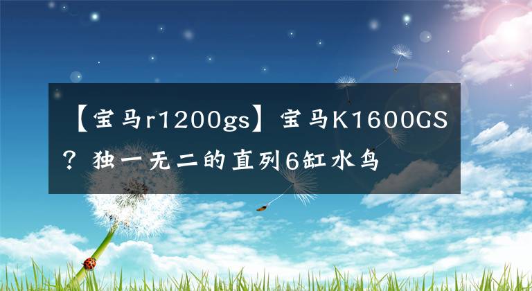 【宝马r1200gs】宝马K1600GS？独一无二的直列6缸水鸟