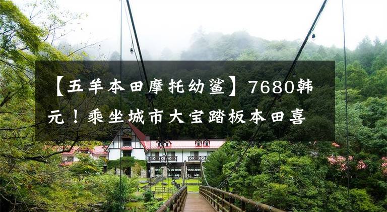 【五羊本田摩托幼鲨】7680韩元!乘坐城市大宝踏板本田喜鲨125: 15韩元一周