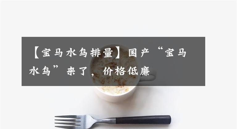 【宝马水鸟排量】国产“宝马水鸟”来了，价格低廉
