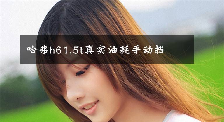 哈弗h61.5t真实油耗手动挡