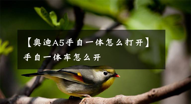 【奥迪A5手自一体怎么打开】手自一体车怎么开
