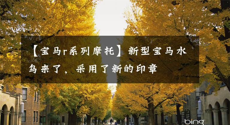 【宝马r系列摩托】新型宝马水鸟来了,采用了新的印章
