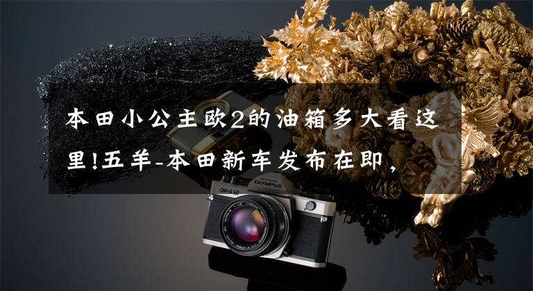 本田小公主欧2的油箱多大看这里!五羊-本田新车发布在即,一起来看看过去25年五羊-本田都造了哪些车!